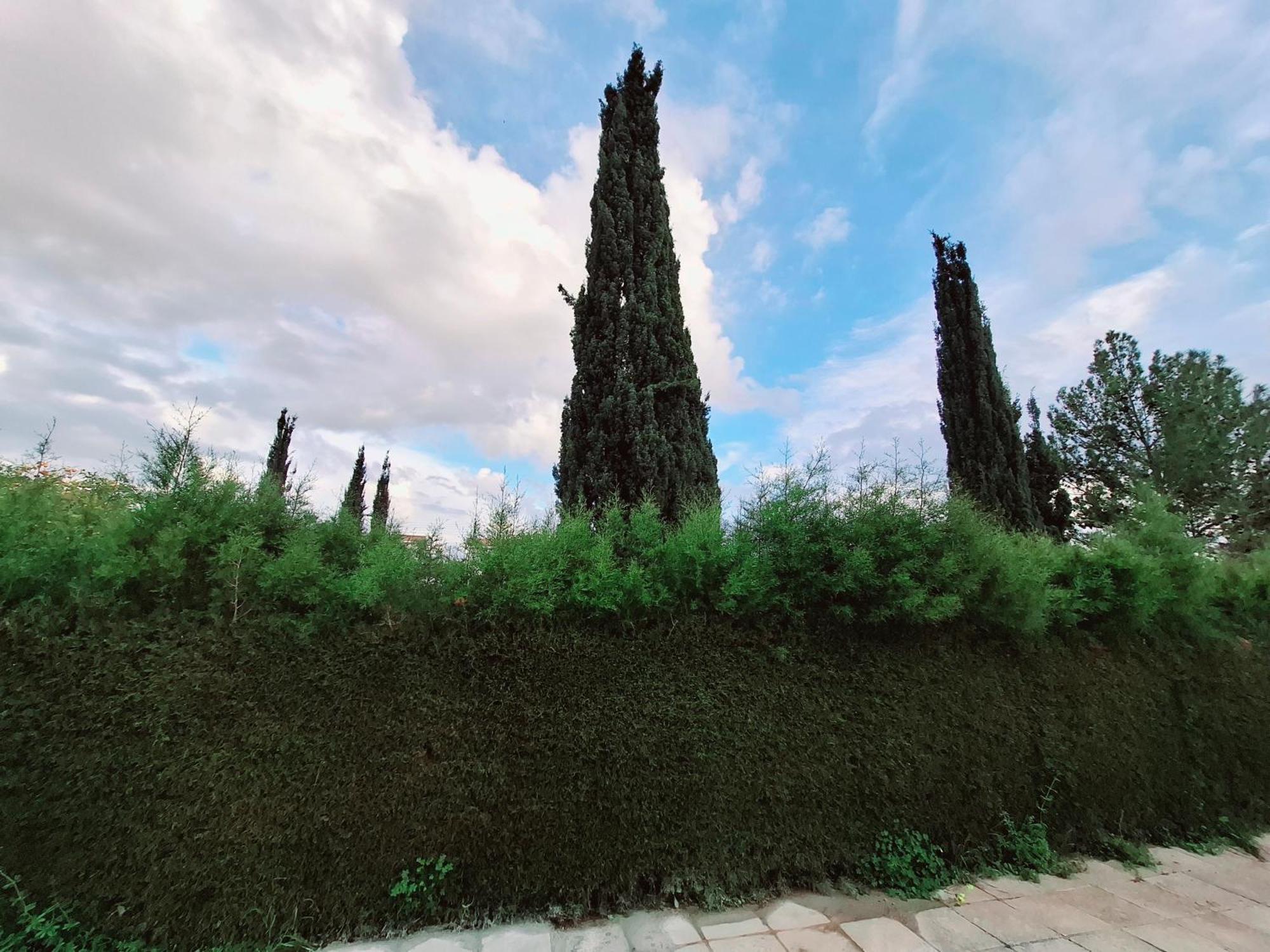 Sunset Green 03 Πάφος Εξωτερικό φωτογραφία