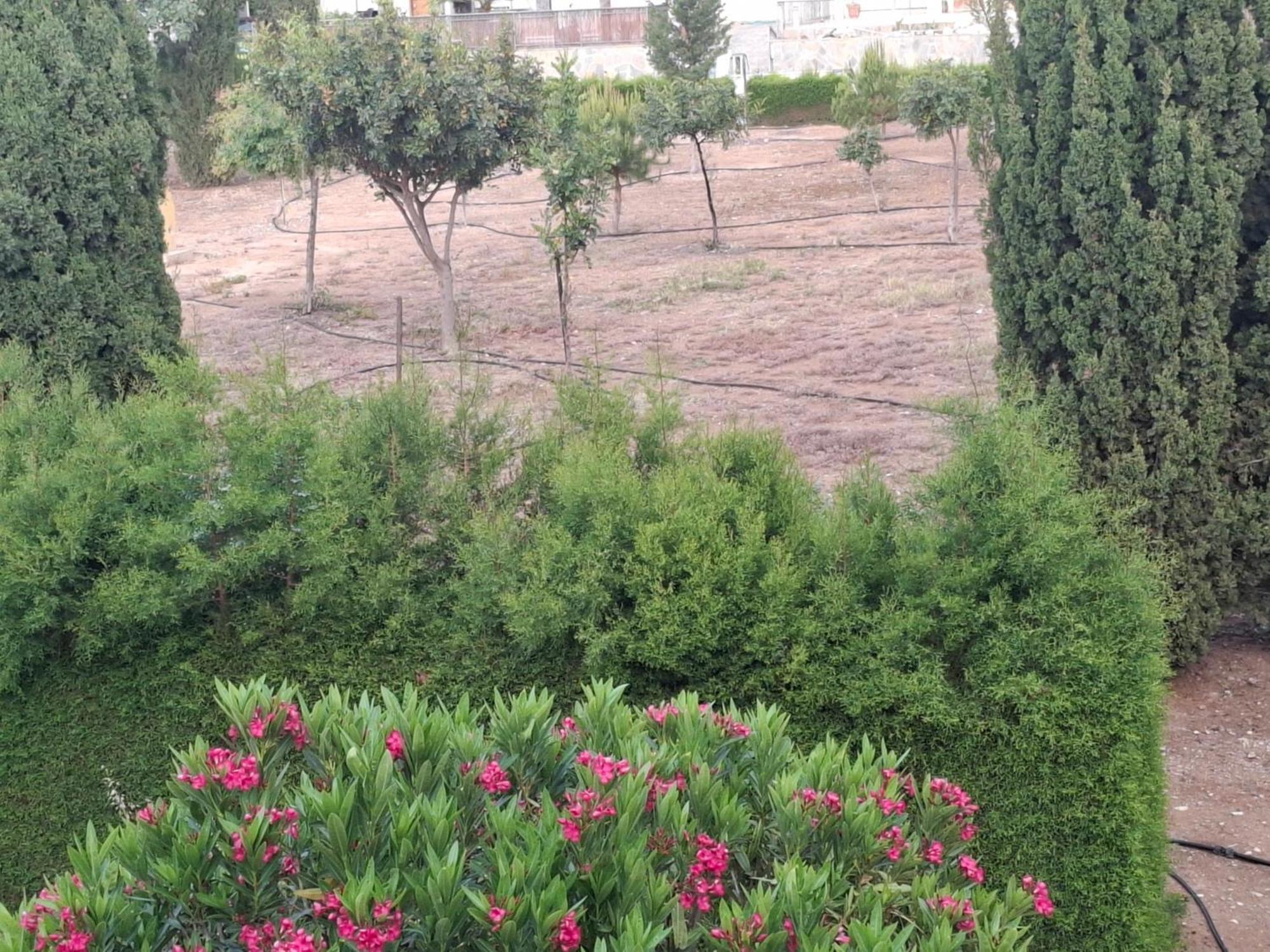 Sunset Green 03 Πάφος Εξωτερικό φωτογραφία